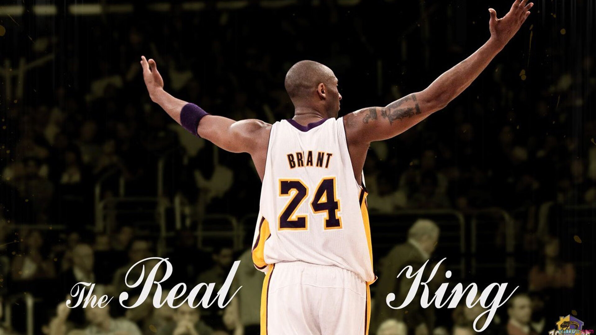 帕特森的快速突破与精准传球，助袋鼠队进攻更加锐利，帕特森拳王