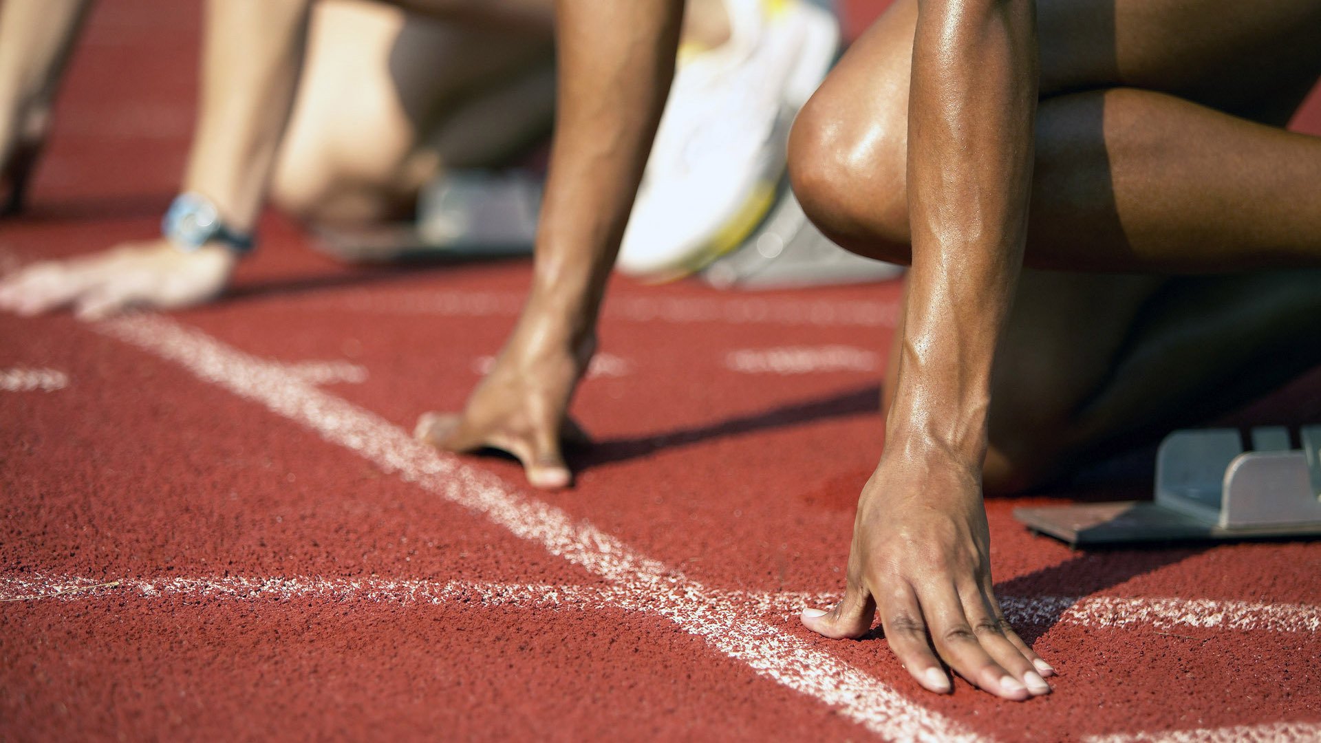 starsky sports直播-习近平在人民大会堂接见第33届奥运会中国体育代表团全体成员并发表重要讲话。